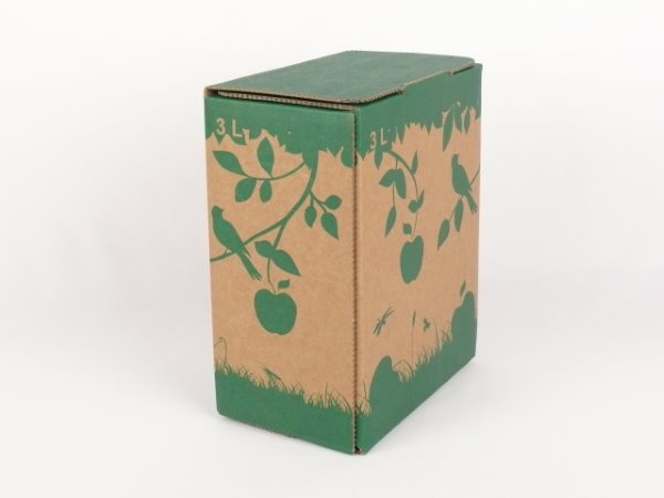 Karton Bag in Box 3 Liter braun-grün, Saftkarton, Faltkarton, Apfelsaft-Karton, Saftschachtel, Schachtel. - 2